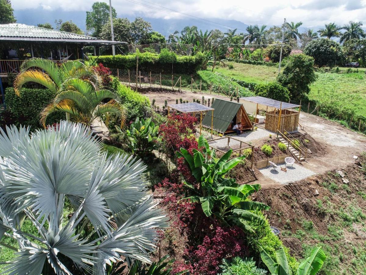 Villa Alejandra Del Quindio Calarca Bagian luar foto